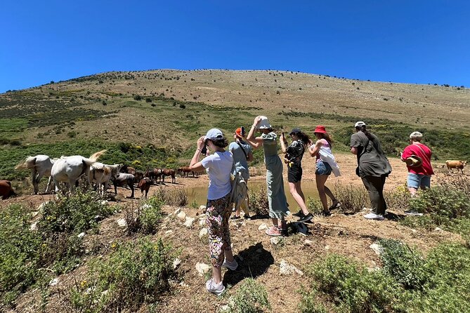 1-Day Tour in Blue Eye, Monastery, Gjirokaster and Lekursi Castle - The Big Picture: A Value Day Trip From Saranda