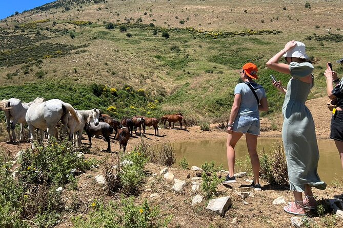 1-Day Tour in Blue Eye, Monastery, Gjirokaster and Lekursi Castle - Gjirokastër Castle and the Stone City Feel: UNESCO Ottoman-Style in Real Life
