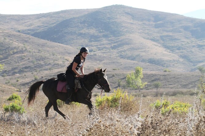 2-Hours Guided Drino's Valley Ride - Birds you may spot: Egyptian vulture and golden eagle habitat
