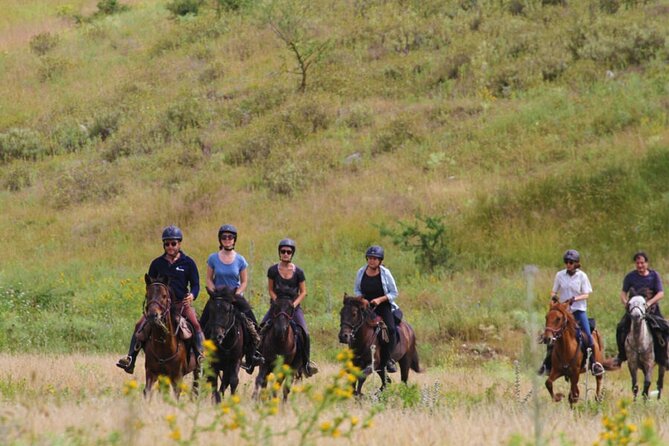 2-Hours Guided Drino's Valley Ride - Horses and guide style: the importance of being matched to your level