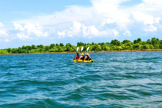 Albania Birdwatching, Kayaking, Bicycle National Park Divjaka Karavasta(ARG) - Key highlights at a glance