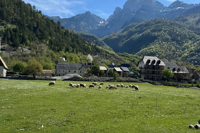 Albanian Alps and Theth Village Day Tour from Tirana - Price and value at about $76: what’s included, what you should budget