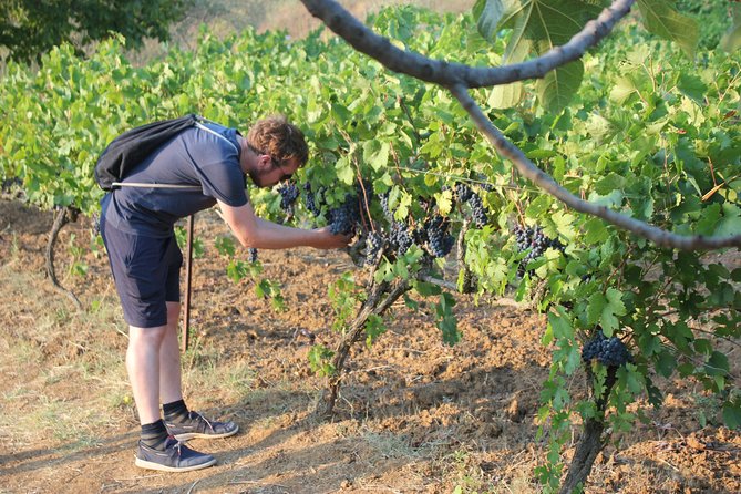 Albanian Highlights - UNESCO sites ,Nature and Food tour - Day 3: Osum Canyon viewpoints, Bogove waterfall swims, and a Roshnik agro-farm dinner