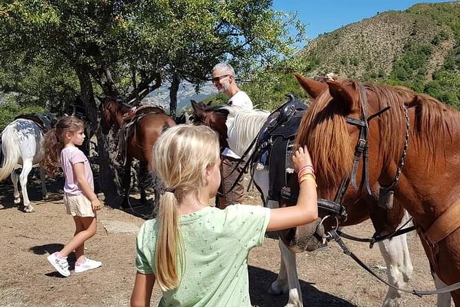 Amazing Horse Riding Experience at Vjosa National Park in Permet - Horses and rider support: what beginners should know