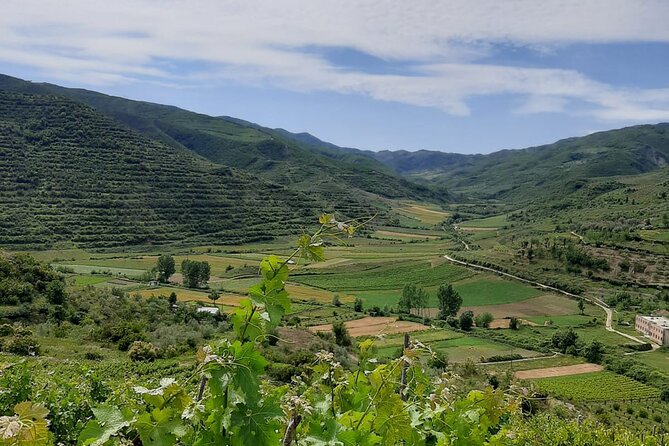 Berat 4x4 Off-Road and Vineyard Wine Tasting - Key things to know before you go
