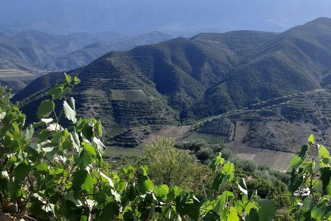 Berat 4x4 Off-Road and Vineyard Wine Tasting - From Berat to Bilce: what the 4x4 ride feels like