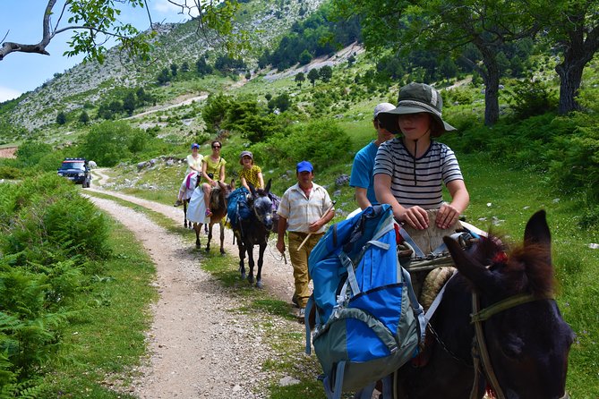 Berat Hiking Off Road picnic lunch in Tomori Holy Mount - Shepherds and Mules: How the Day Really Changes Pace