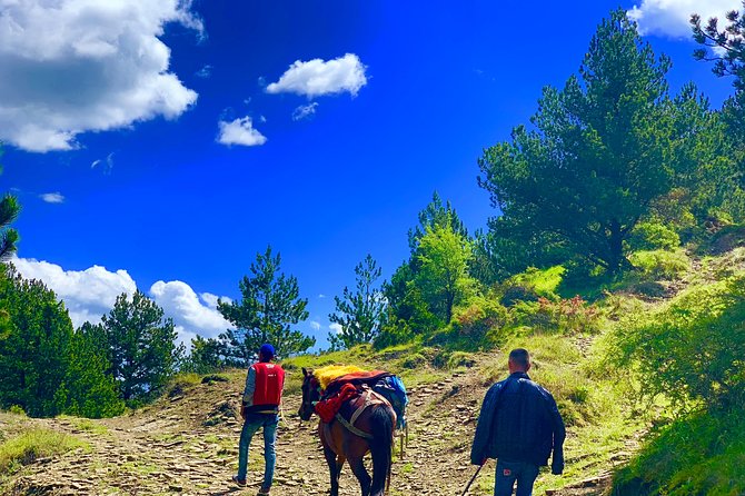 Berat Hiking Off Road picnic lunch in Tomori Holy Mount - Picnic Lunch on the Mountain: What Is Included, What to Plan