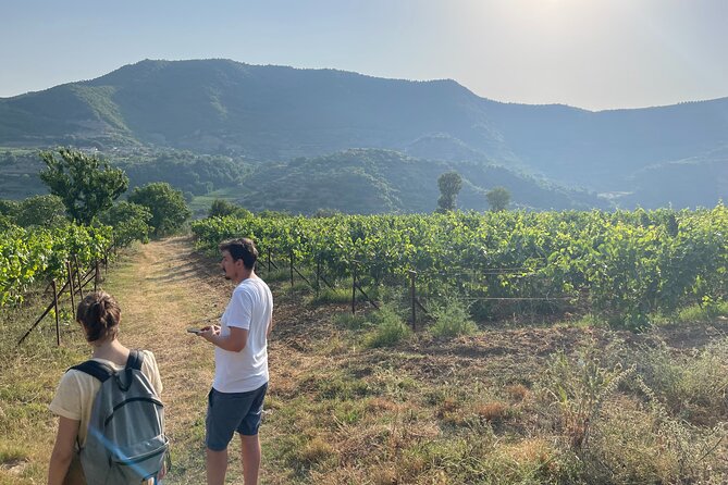 Berat | History & Local Food - Transfer Through Olive Country on the Way to Berat Castle
