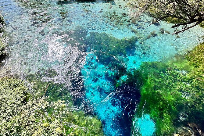 Blue Eye and Gjirokaster, Half Day Nature & Historical Tour - Blue Eye Nature Park: the 17-minute walk and spring time