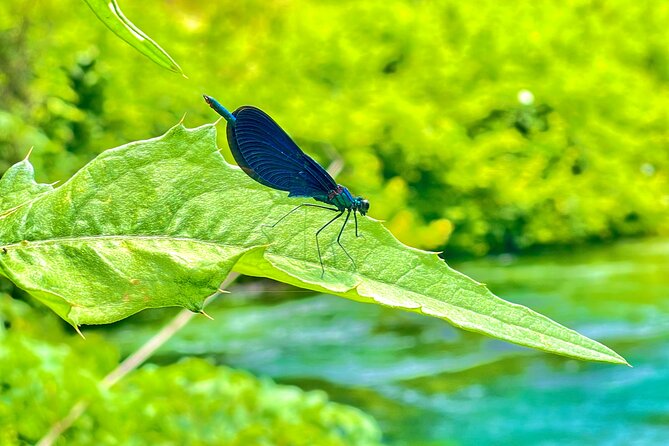 Blue Eye And Lekuresi Castle, 4 Hour Nature and Historical Tour - Should you book this Blue Eye and Lekuresi Castle tour?