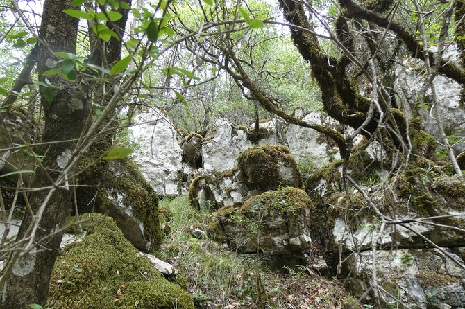 BOGOVA WATERFALL & WINERY TOUR from Berat by 1001 AA - Price and value: is $89.15 a good deal?