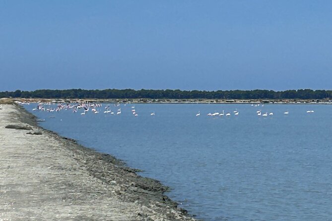 Day tour of Apollonia Park, Vlore and Narta from Tirana&Durres - Who This Tour Fits Best