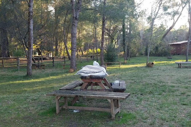 Day Tour of Berat and Karavasta Lagoon from Tirana&Durres - What to bring, what to skip, and how to avoid stress