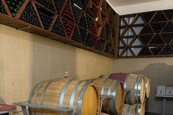 Durres & Wine Tasting Tour - Abaia Winery and Vineyard: tasting with context, not just drinks