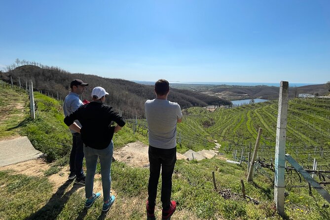 Durres & Wine Tasting Tour - Price and value: what $168.41 buys you