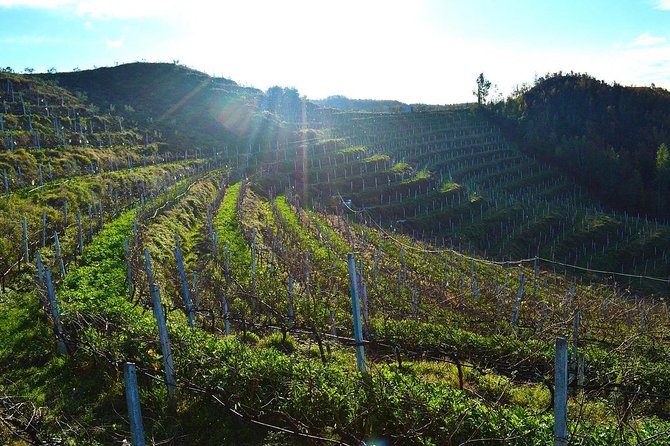 Durres & Wine Tasting Tour - Morning walking in Durres: city walls, Roman and Byzantine layers