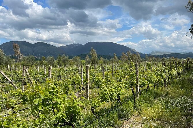 Experience Blue Eye , Lekuresi Castle and Taste Traditional Albanian Wine - Private transport with Wi-Fi: great when it works, annoying when it does not
