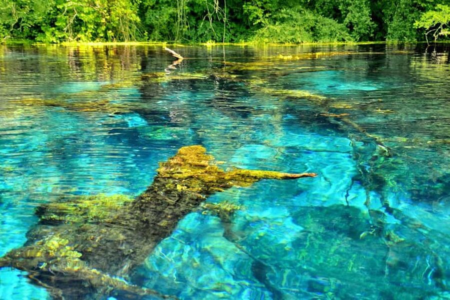 From Durres: Saranda, Blue Eye, Ksamil Islands Boat Tour - Who This Durres to Saranda Day Trip Fits Best