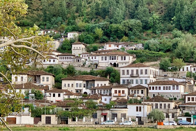 From Tirana; Semi - Private Day Trip to Berat & Belsh Lake - English guidance, group size, and the kind of comfort you should expect