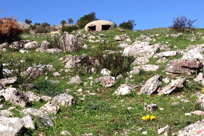 Full-Day Tour of Albania’s Bunkers and Beaches, from Tirana - Stop 1 at Albanian Trip: A 1927 House, a Wild Garden, and Real Local Stories