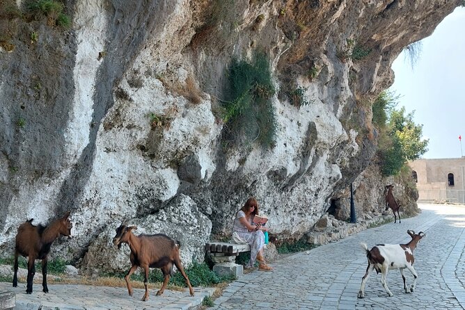 Guided Tour to Kruja, Holy Mountain & Old Bazaar from Durres - Price, logistics, and the value check at $70.88