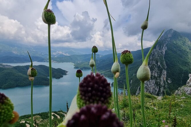 Hiking to Gamti, Bovilla Lake and Kruja Day Trip from Tirana - Kruja Old Bazaar: one hour that adds the local texture