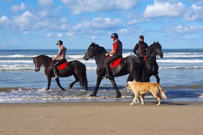 Horseback Riding Adventure in Durrës for Experienced Riders - Meeting Near Rinia, Then Out Toward the Durres Area