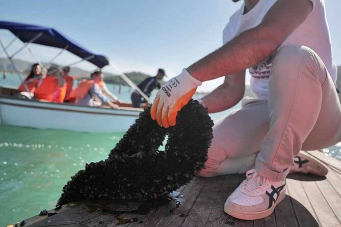Ksamil: Mussel Sailing Tour with Food and Drink in Albania - The return sail and how it can pair with Butrint (Stop 3)