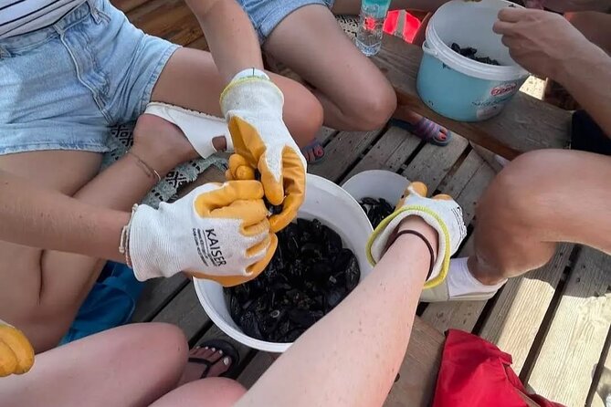 Ksamil: Mussel Sailing Tour with Food and Drink in Albania - Price and value: what you’re really paying for ($67.72)