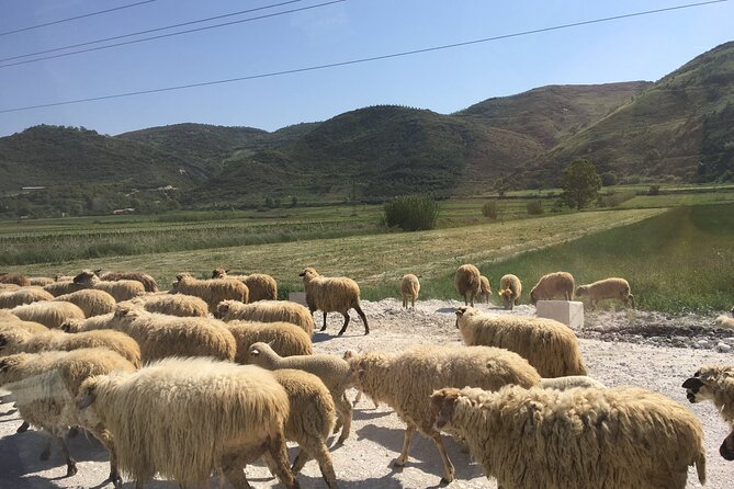 Outdoor Experience in Amantia Archeological Park & Brataj Bidge - Your day plan: 4 to 6 hours of guided stops around Vajzë and the Shushica Valley