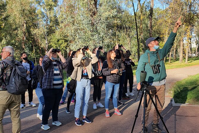 Private Birding Tour in Albania - Tirana to the field: why the pickup setup matters