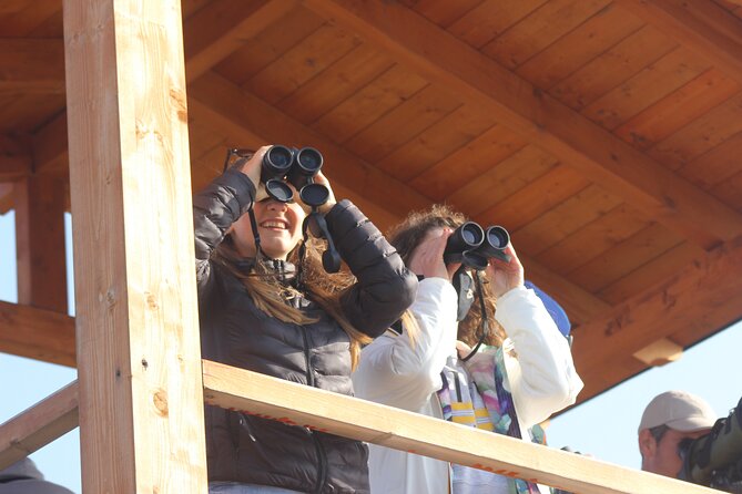 Private Birding Tour in Albania - AOS ornithologists: the real value is the people you learn from