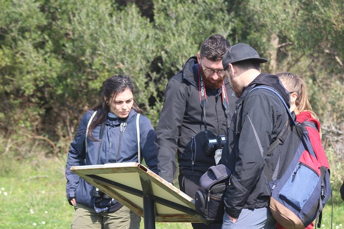 Private Birding Tour in Albania - The habitat mix you will walk: lagoons, wetlands, salinas, and river edges