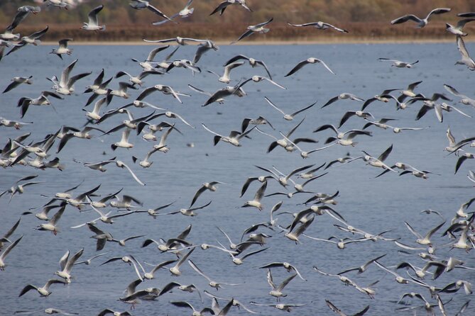 Private Birding Tour in Albania - Price and value: what you are really paying for