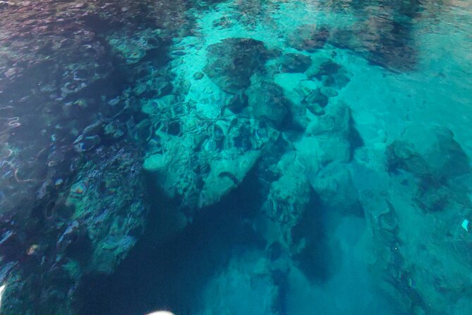 Private Half Day Boat Sazani Island & Haxhi Aliu Cave - Return to Vlorë: short ride back, easy wrap-up