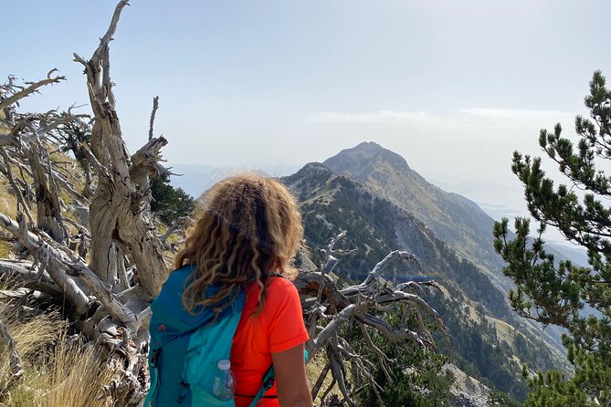 Private Hiking Tour in Çika Mountain - From Tirana to Llogara: the comfortable start that matters