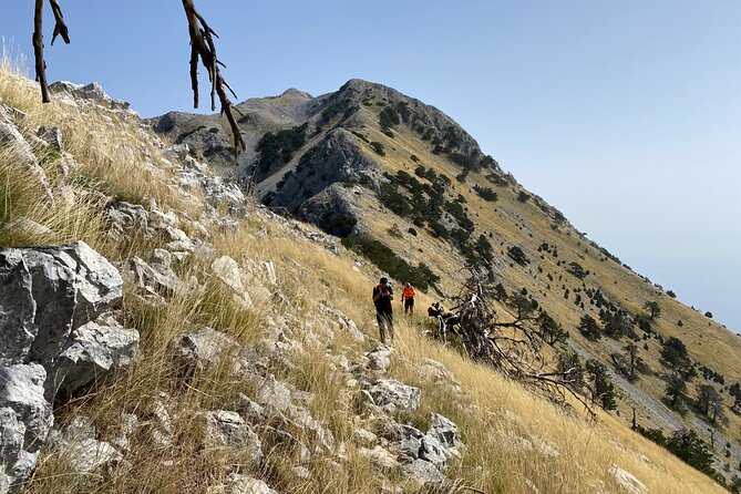 Private Hiking Tour in Çika Mountain - Restaurant Dervishalliu: your coffee-and-view pre-hike reset