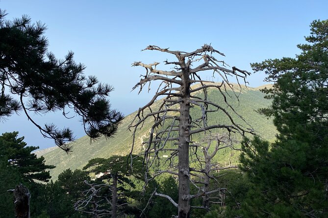 Private Hiking Tour in Çika Mountain - Views that earn the effort: sea, coast, and mountain perspective