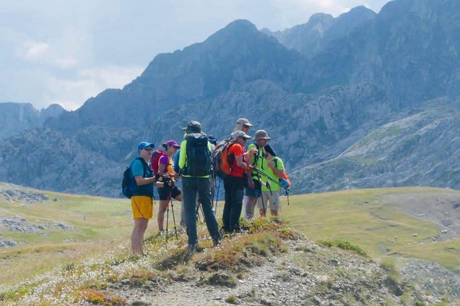 Semi-Private Hiking Tour; Peaks of the Balkans in 10 days - Vuthaj to Theth: long day, hidden water stop, and shepherd life