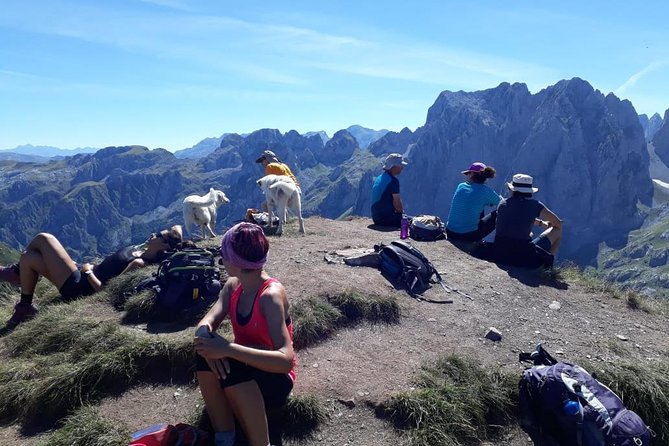 Semi-Private Hiking Tour; Peaks of the Balkans in 10 days - The Balkans you came for: Tamarë, Lëpushë, and the first taste of mountain life