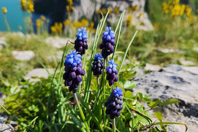 Semi – Private Tour at Cape of Rodon; Hidden Beaches & History - Getting there smoothly from Tirana, and what the time really feels like