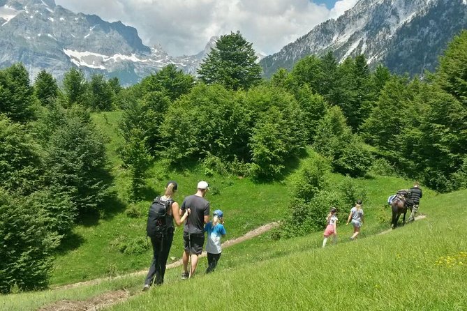 Small Group Hiking Tour; Peaks of the Balkans Trail in 7 Days - Day 5: Cerem to Doberdol via mule track, berries, and Montenegro for a couple hours