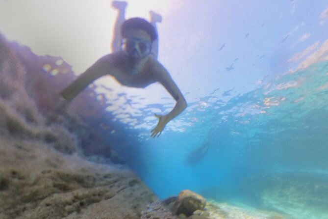 Snorkeling 360 Experience in Sazan Island & Karaburun - The itinerary, step by step: what each stop gives you