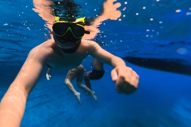 Snorkeling 360 Experience in Sazan Island & Karaburun - Practical tips that help your day go smoother