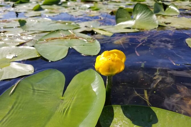 Stand Up Paddle at Skadar lake and Hiking from Valbona to Theth in 4 Days - Day 3, Theth to Shkoder: Gurnas waterfall and the stories you came for