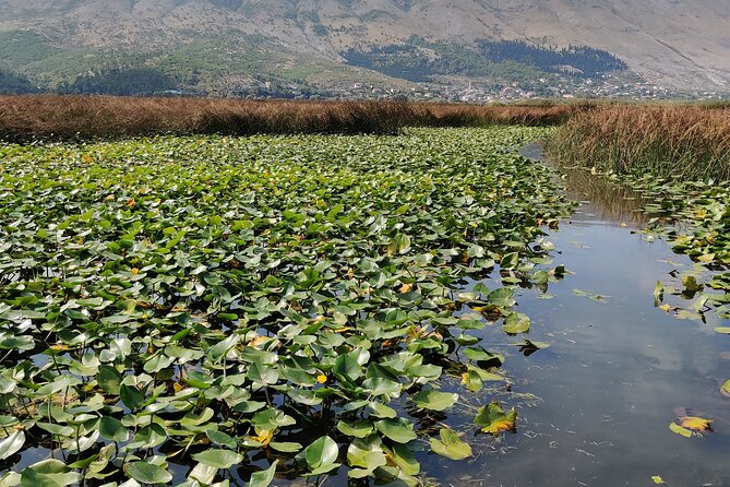Stand Up Paddle Board or Kayak Rental in Shkodër - What You Get Included: Gear, Instructions, and a Little Extra
