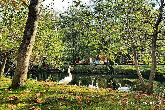 Tirana Hidden Treasures Sightseeing Tour - Museum of Secret Surveillance and the House of Leaves: short visit, big mood