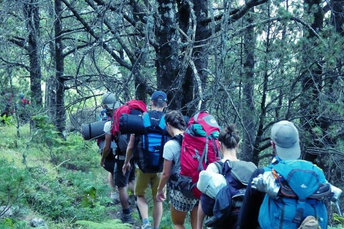TOMOR MOUNTAIN HIKING from Berat by 1001 Albanian Adventures - Key highlights before you go