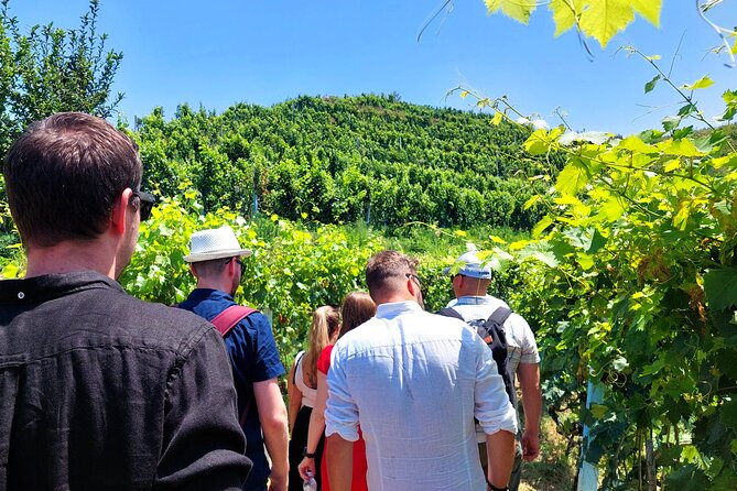 Vineyards, Albanian Wine Tasting & Boat Tour from Tirana/Durres - Key highlights you will feel during the day